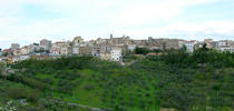 Pianella