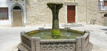 Carpineto della Nora