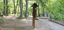 Parco Attrezzato Il Boschetto