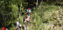 Camminarmangiando