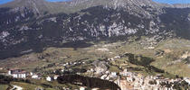 Palena