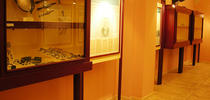 Museo Antiquarium Comunale