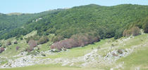 Piana del Voltigno
