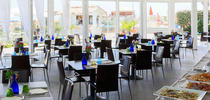 Sea Lion Hotel