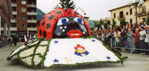 Sagra del Narciso in Fiore