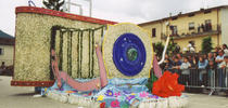 Sagra del Narciso in Fiore