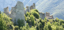 Castel Manfrino