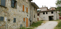 Altovia