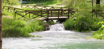 Parco Territoriale Attrezzato Sorgenti Sulfuree del Lavino Parco Territoriale Attrezzato Sorgenti Sulfuree del Lavino