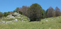 Parco Nazionale Gran Sasso e Monti della Laga