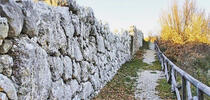 Monte Pallano