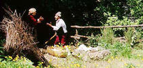 Festa San Domenico Abate