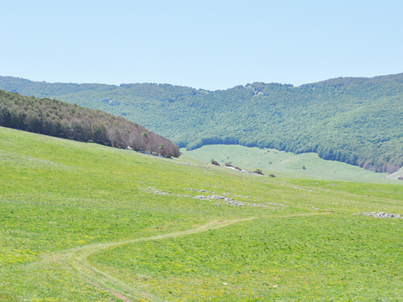 Valle d'Angri
