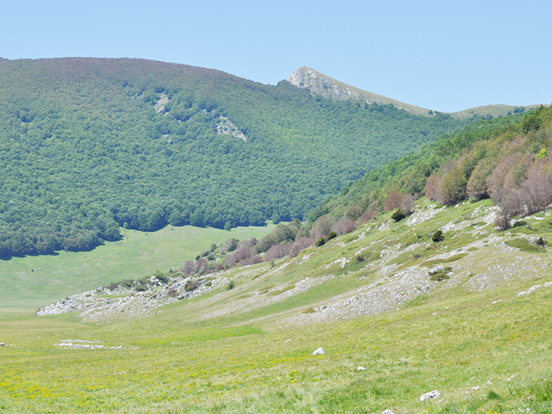 Piana del Voltigno e Valle d'Angri