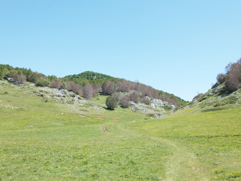 Piana del Voltigno e Valle d'Angri